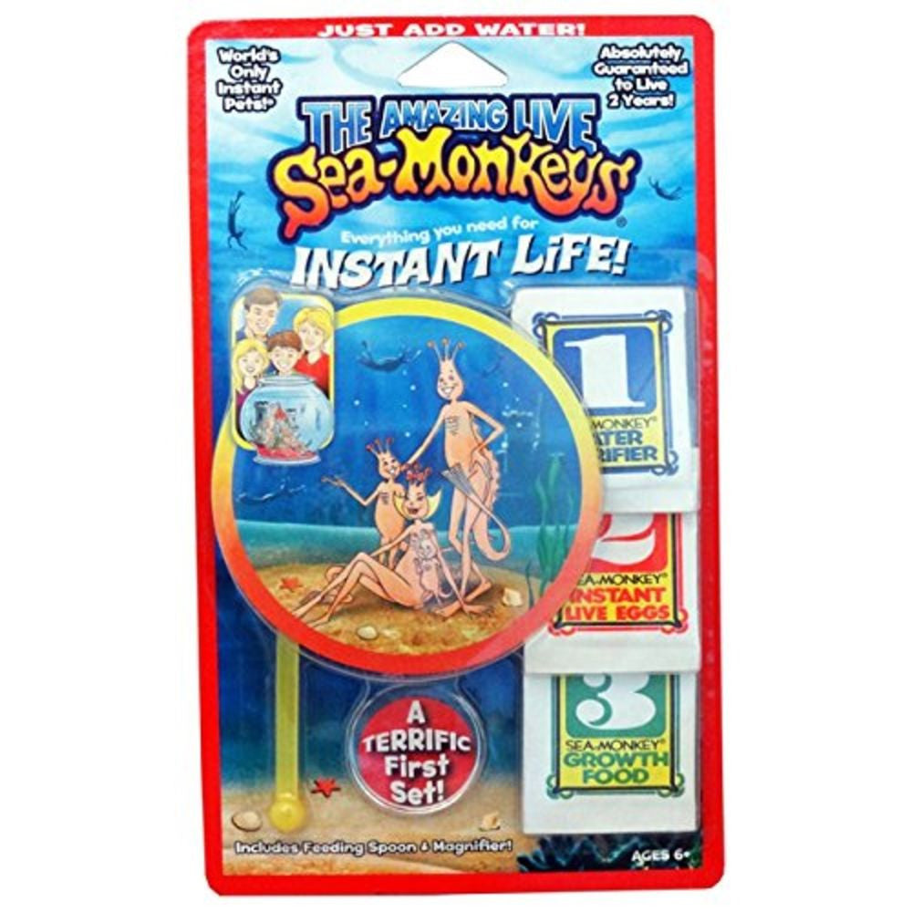 Amazing Live Sea Monkeys