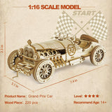 GRAND PRIX RACE CAR Indy 500 Wood Scale Model Kit ROKR 3D Puzzle